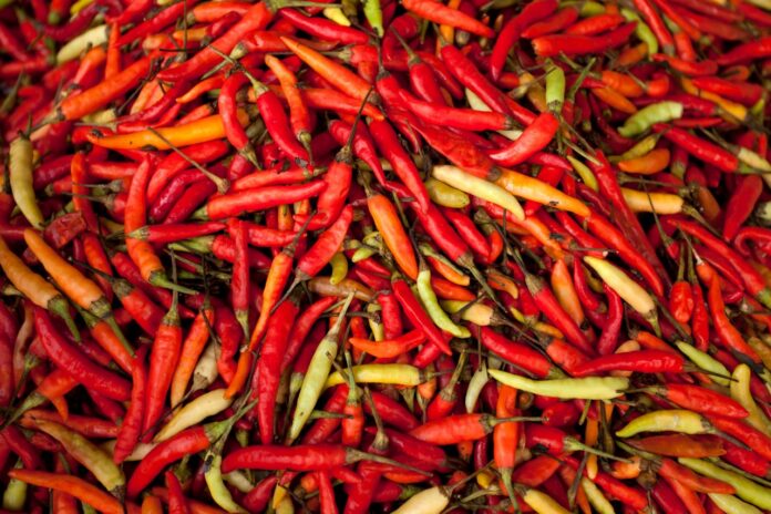 Photo by Jeffry Surianto: https://www.pexels.com/photo/close-up-shot-of-chili-peppers-8813520/ Photo by Jeffry Surianto: https://www.pexels.com/photo/close-up-shot-of-chili-peppers-8813520/